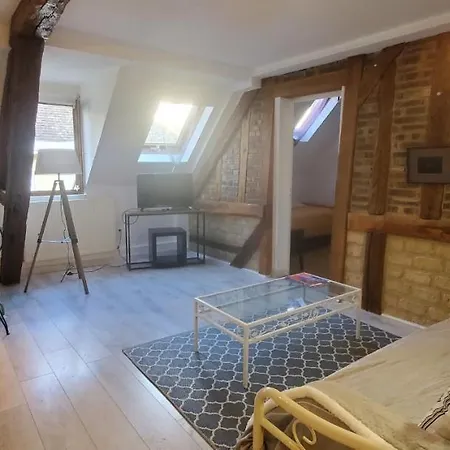 TROYES : Appartement champenois face Cathédrale